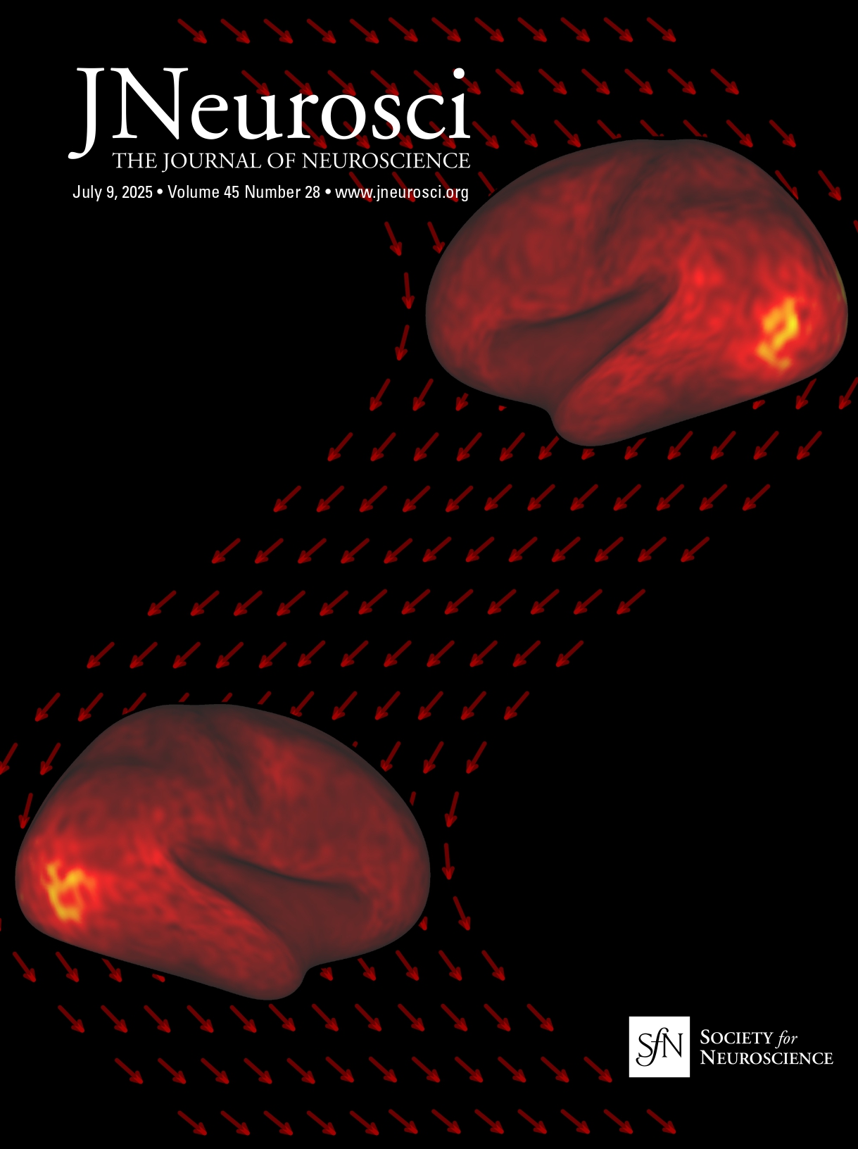 Publication thumbnail
